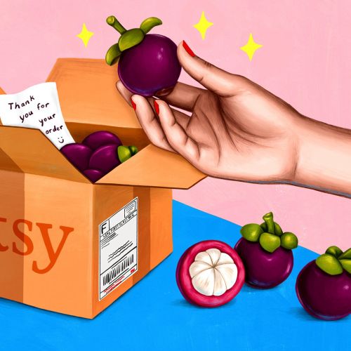 Packaging illustration of fruit for etsy company 