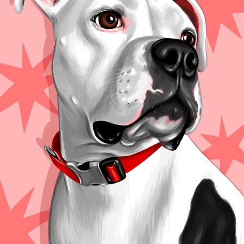 Portrait art of dog 
