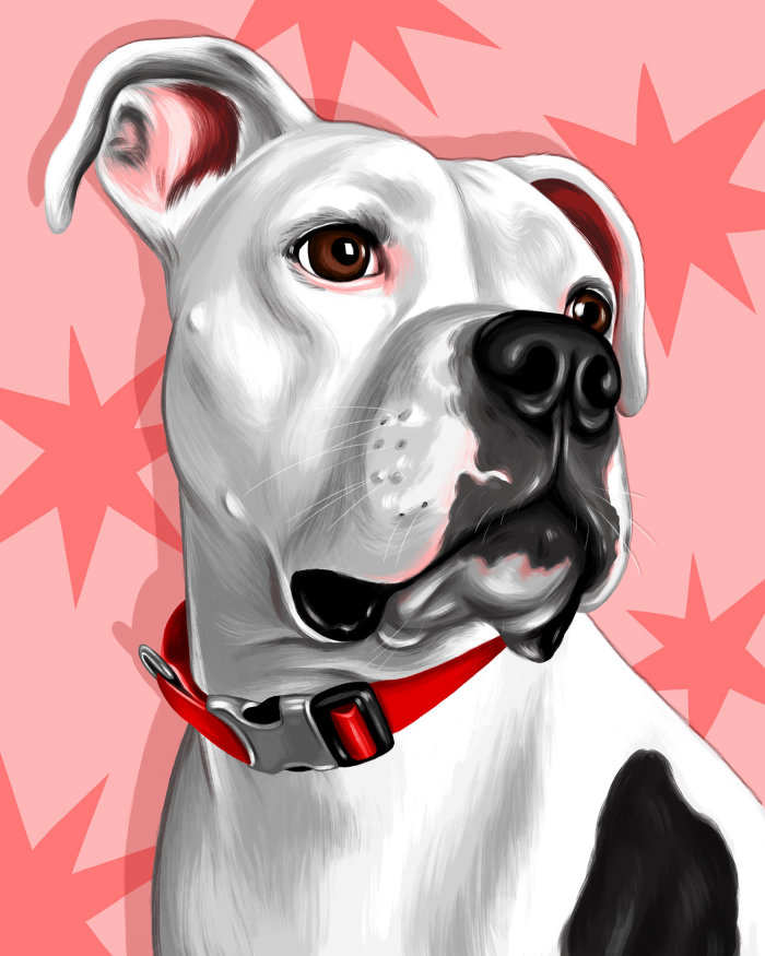 Portrait art of dog 