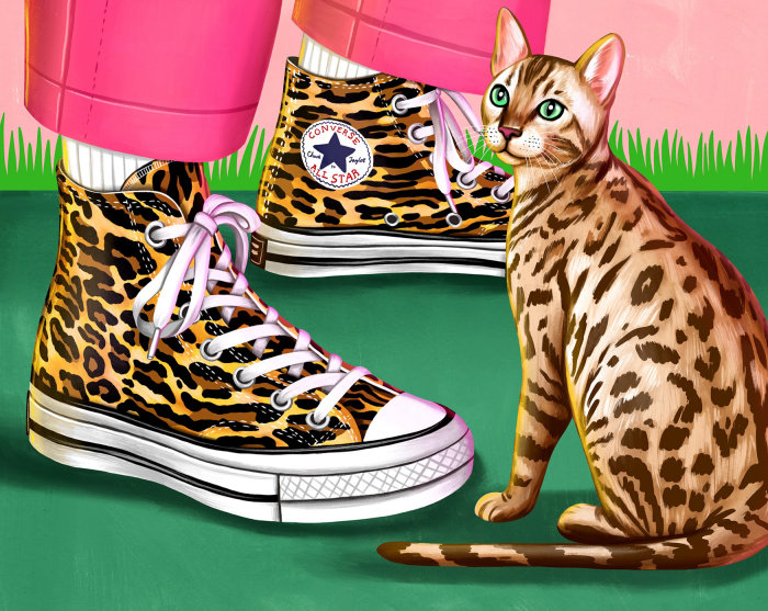 Converse All Star dream shoes illustration