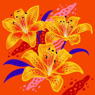 Flores Tigerlily com cores vibrantes e texturas gráficas.
