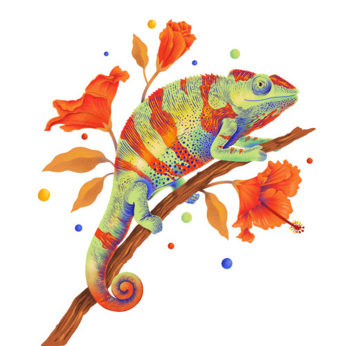 Illustration de caméléon avec des couleurs vibrantes et des textures graphiques