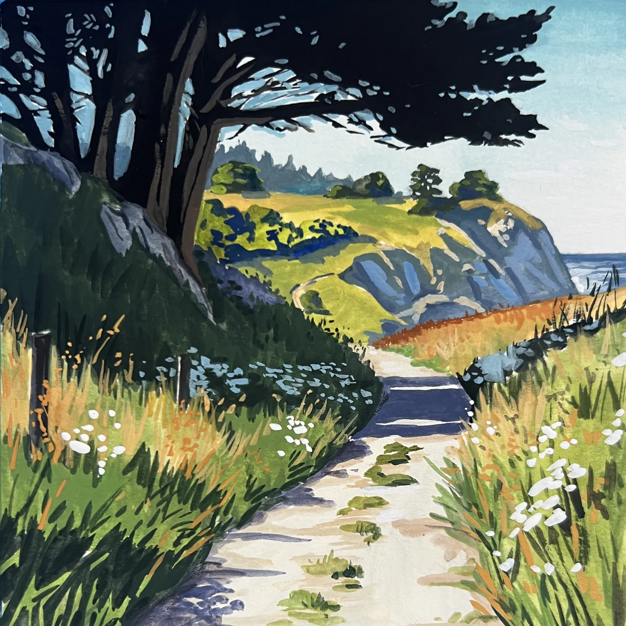 Coastal trail surrounded by grass, wildflowers, trees, and cliffs
