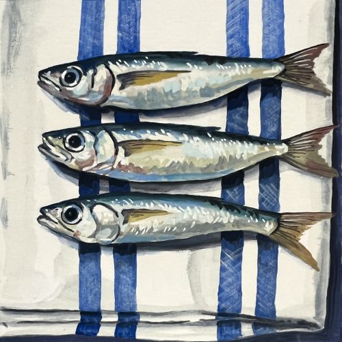 Three fresh sardines on white cloth with blue stripes
