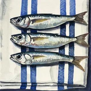Three fresh sardines on white cloth with blue stripes
