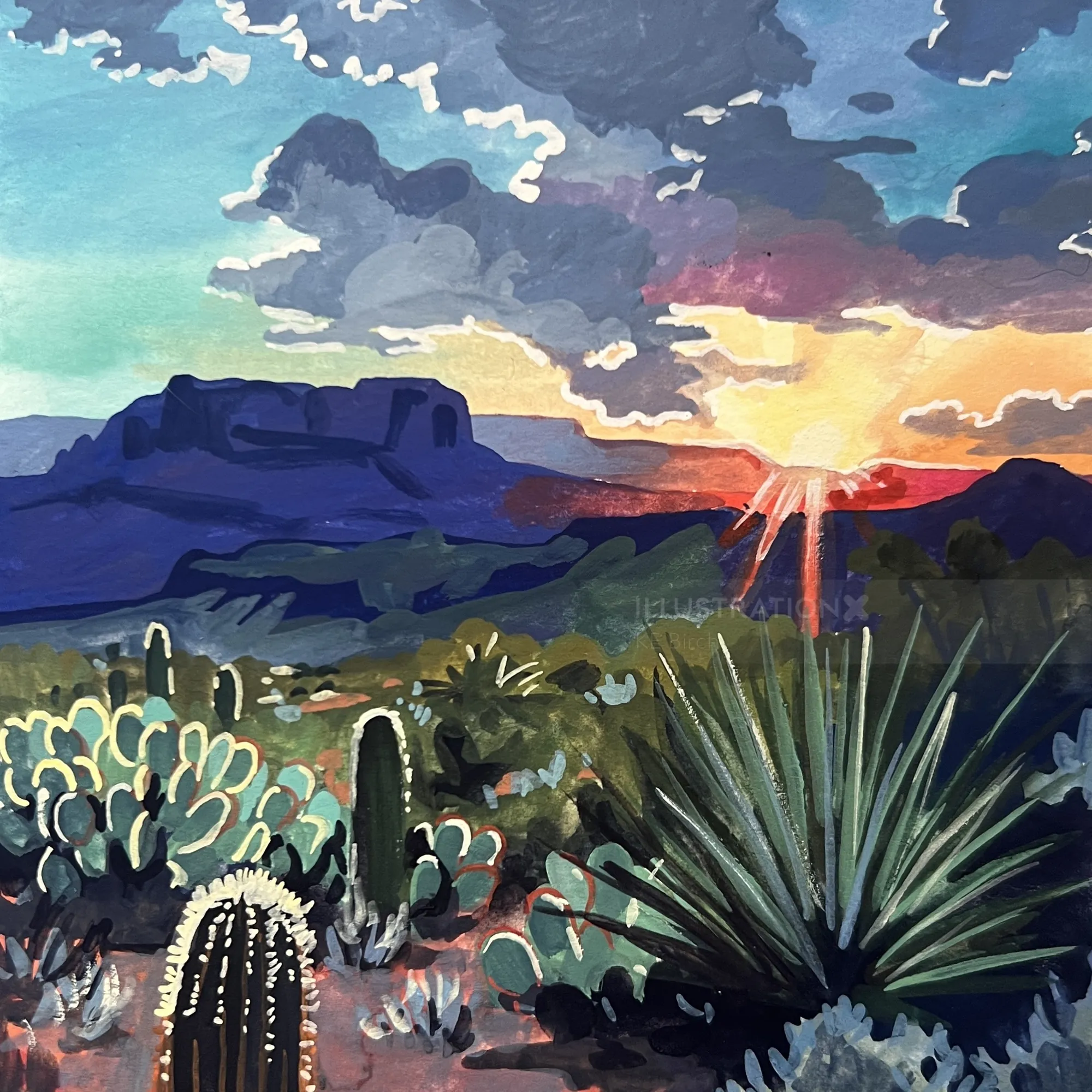 Escena desértica con plantas de cactus y puesta de sol detrás de montañas moradas