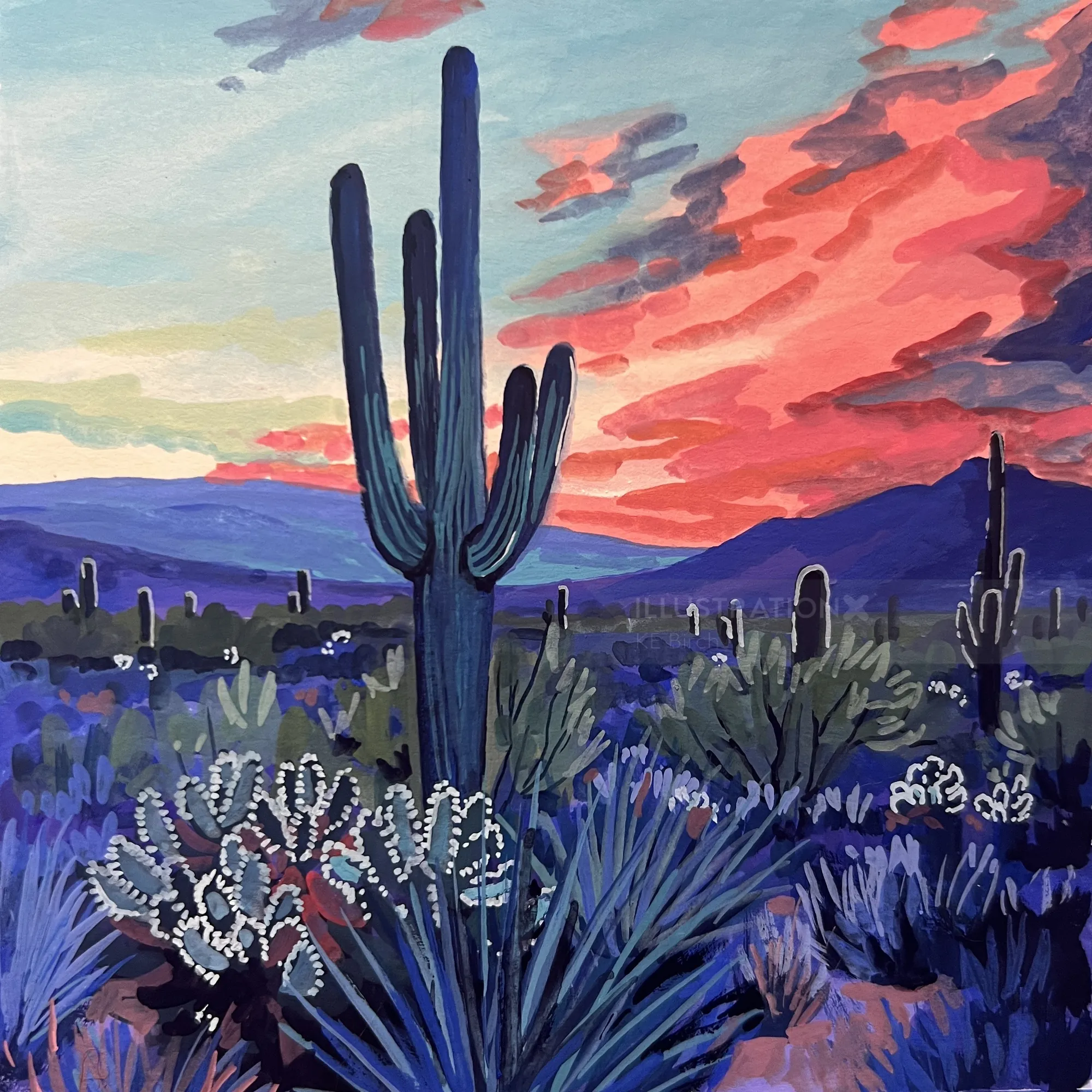 Desert with large cacti under colorful sunset sky