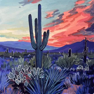 Desert with large cacti under colorful sunset sky