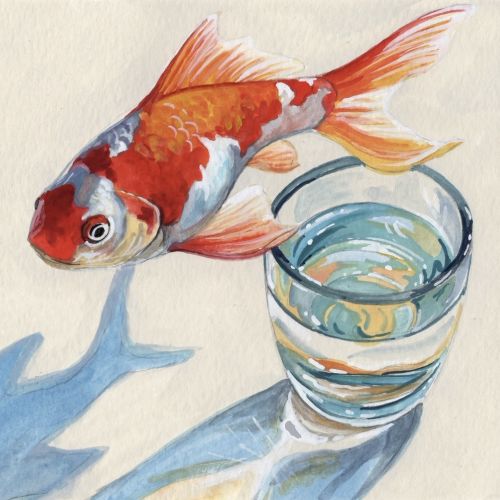 KE Birch 자연 Illustrator from United States