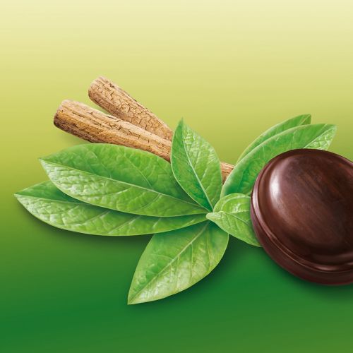 Carob pods with green leaves on gradient background by Kai Klimiont