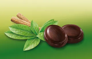 Carob pods with green leaves on gradient background by Kai Klimiont