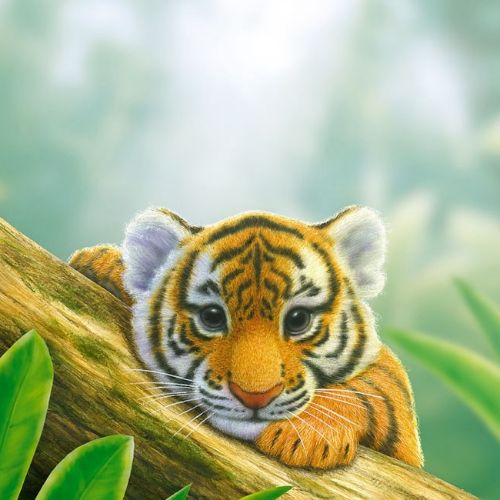 Tiger cub resting on tree branch in soft sunlight by Kai Klimiont