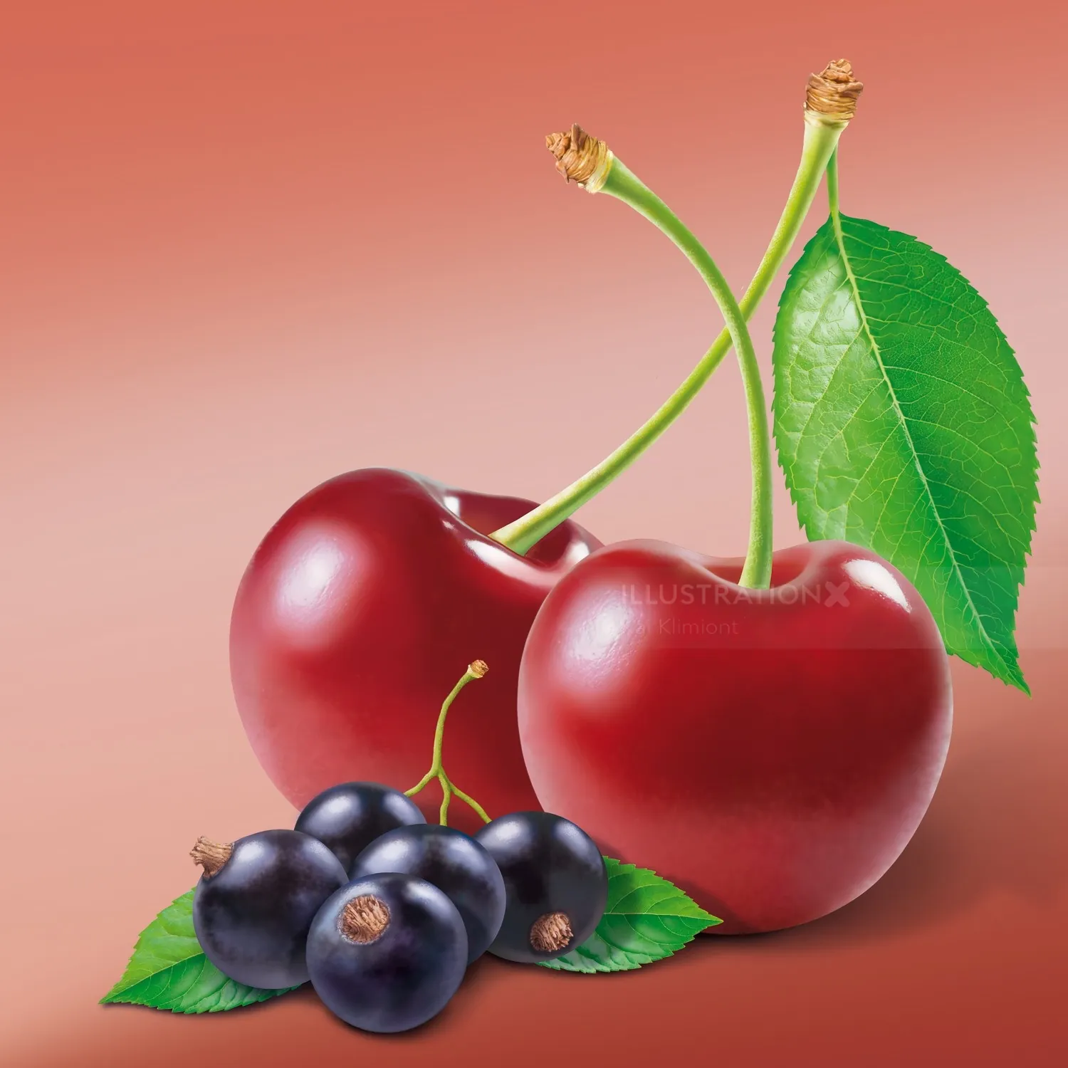 Red cherries and blackcurrants with leaves on a soft background by Kai Klimiont