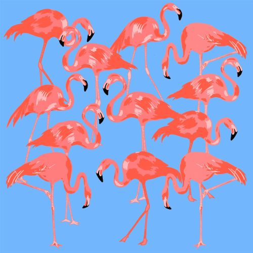 Bright pink flamingos standing with blue background, artwork by Karen Mabon