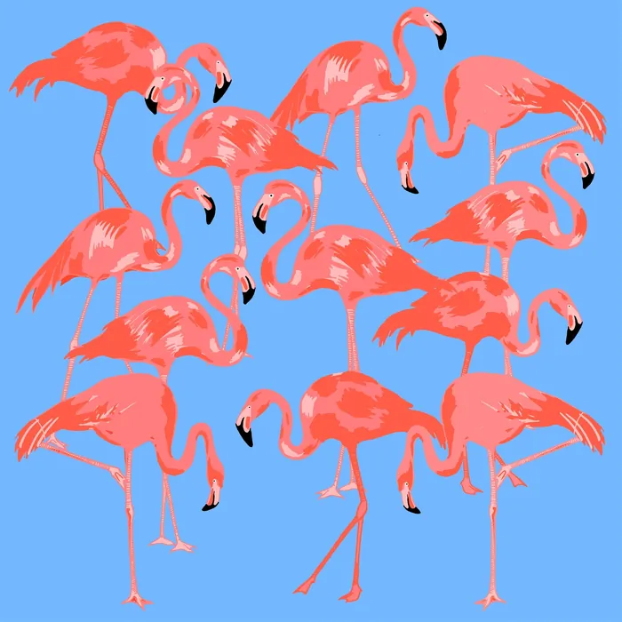 Bright pink flamingos standing with blue background, artwork by Karen Mabon