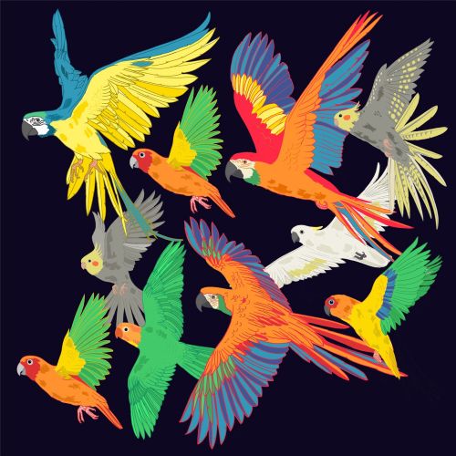 An illustration of a flock of Macaw parrots