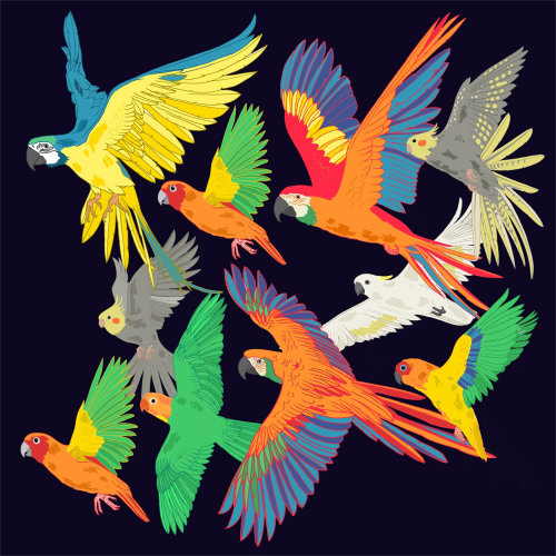 Une illustration d&#39;un troupeau de perroquets Ara