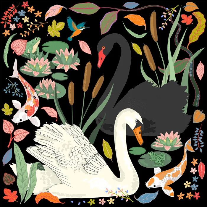 Illustration of black and white swans with koi fish and flowers by Karen Mabon