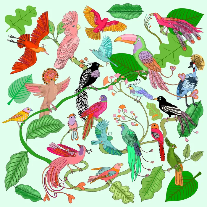 Illustration of diverse tropical birds with vibrant colors on branches