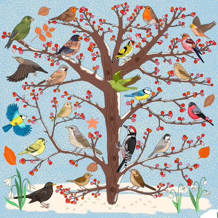 Various colorful birds sitting on a tree with red berries in winter.