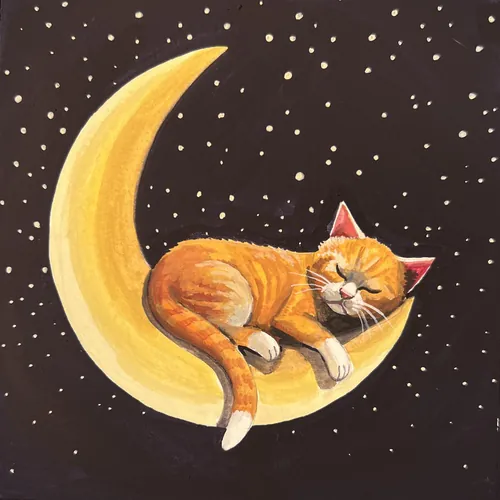 橙色的猫睡在新月上，夜空中有星星