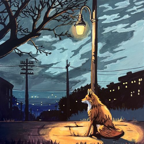 Kate Birch Kids Animals Illustrator from United States