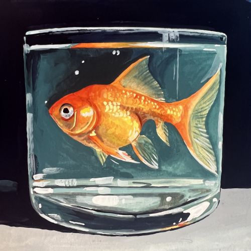 Orange goldfish in a transparent glass bowl filled with water