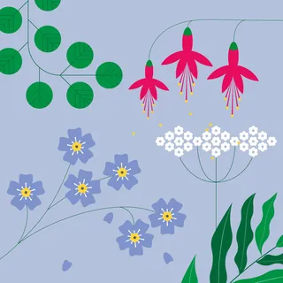 Colorful floral illustration with leaves and red, white, and blue flowers by Kate Snell