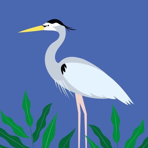 Kate Snell Animals Illustrator from United Kingdom