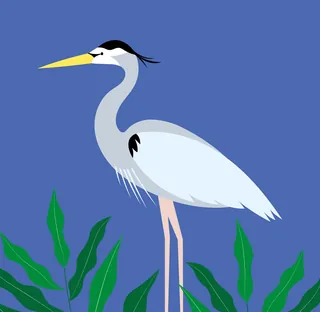 Digital illustration of a heron standing among green plants by Kate Snell
