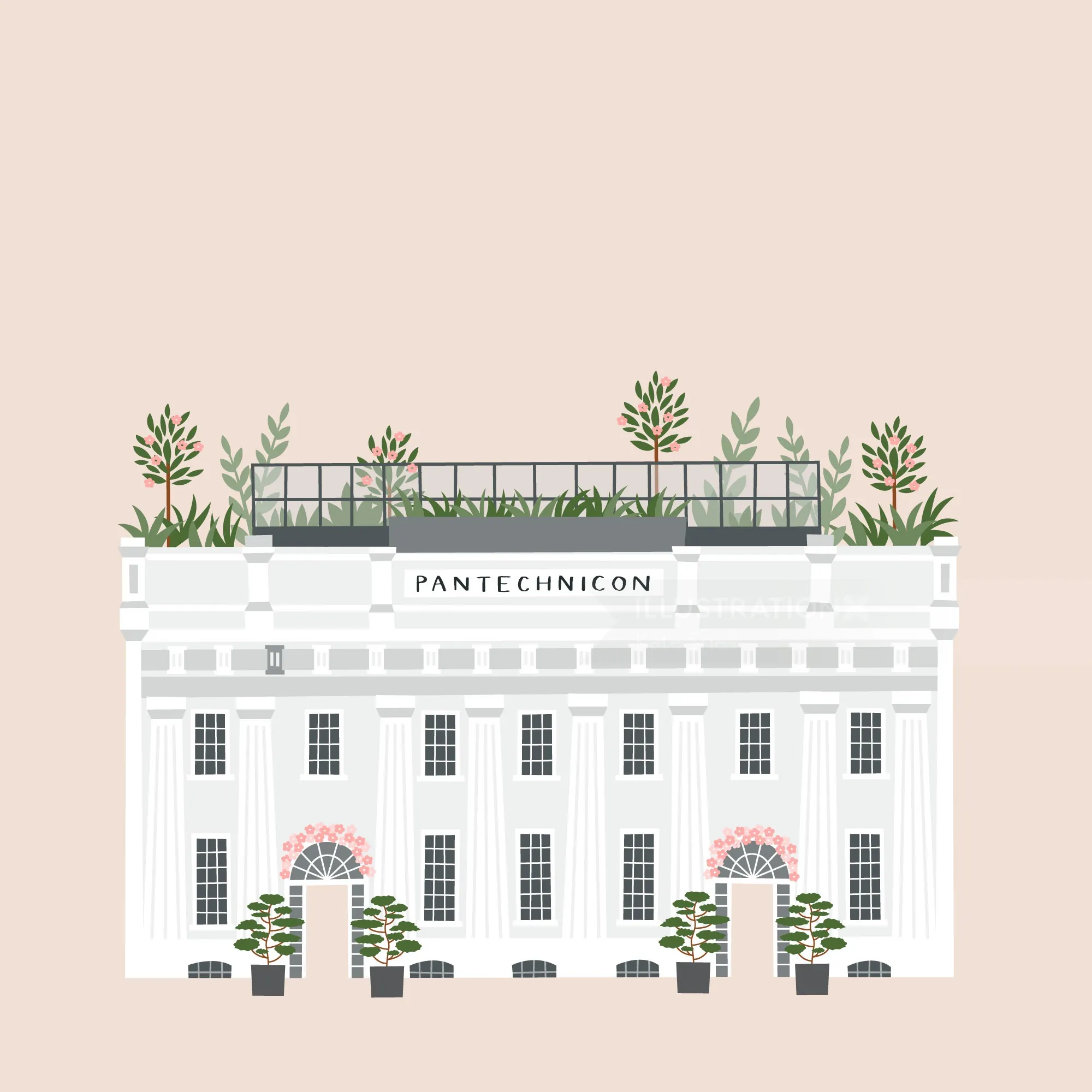 Illustration of Pantechnicon building with rooftop greenery by Kate Snell