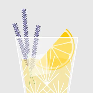 Glass with lavender sprigs and lemon slice illustration by Kate Snell
