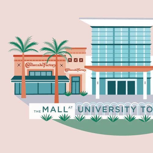 Mall at University Town Center storefronts with palm trees and clear sky