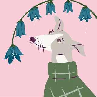 Stylized dog in green sweater smelling blue flowers on pink background