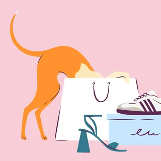 Orange dog looking inside shopping bag near high heel and sneaker