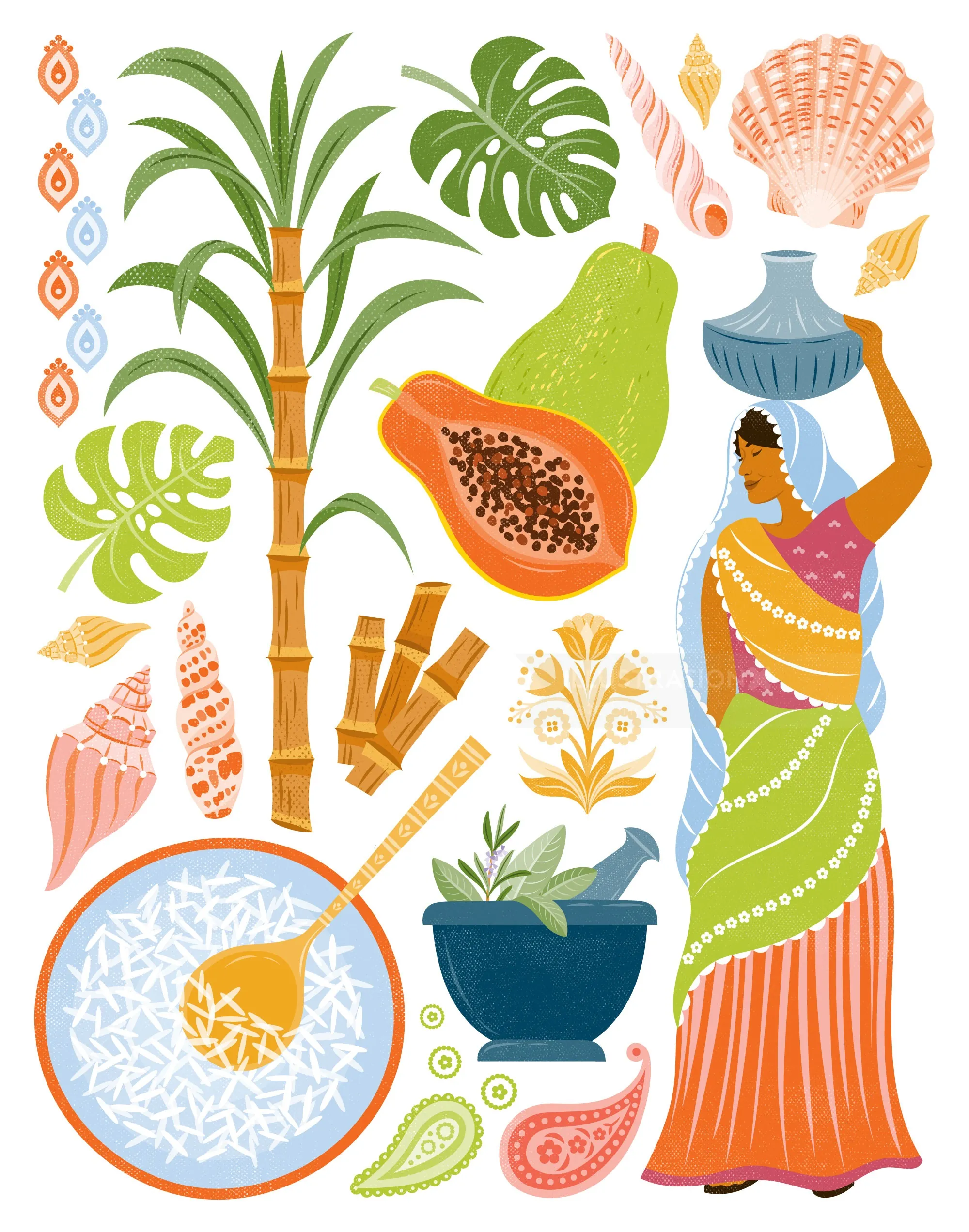 Tropical fruits, bamboo, seashells, and woman in traditional dress illustrated by Kate Snell