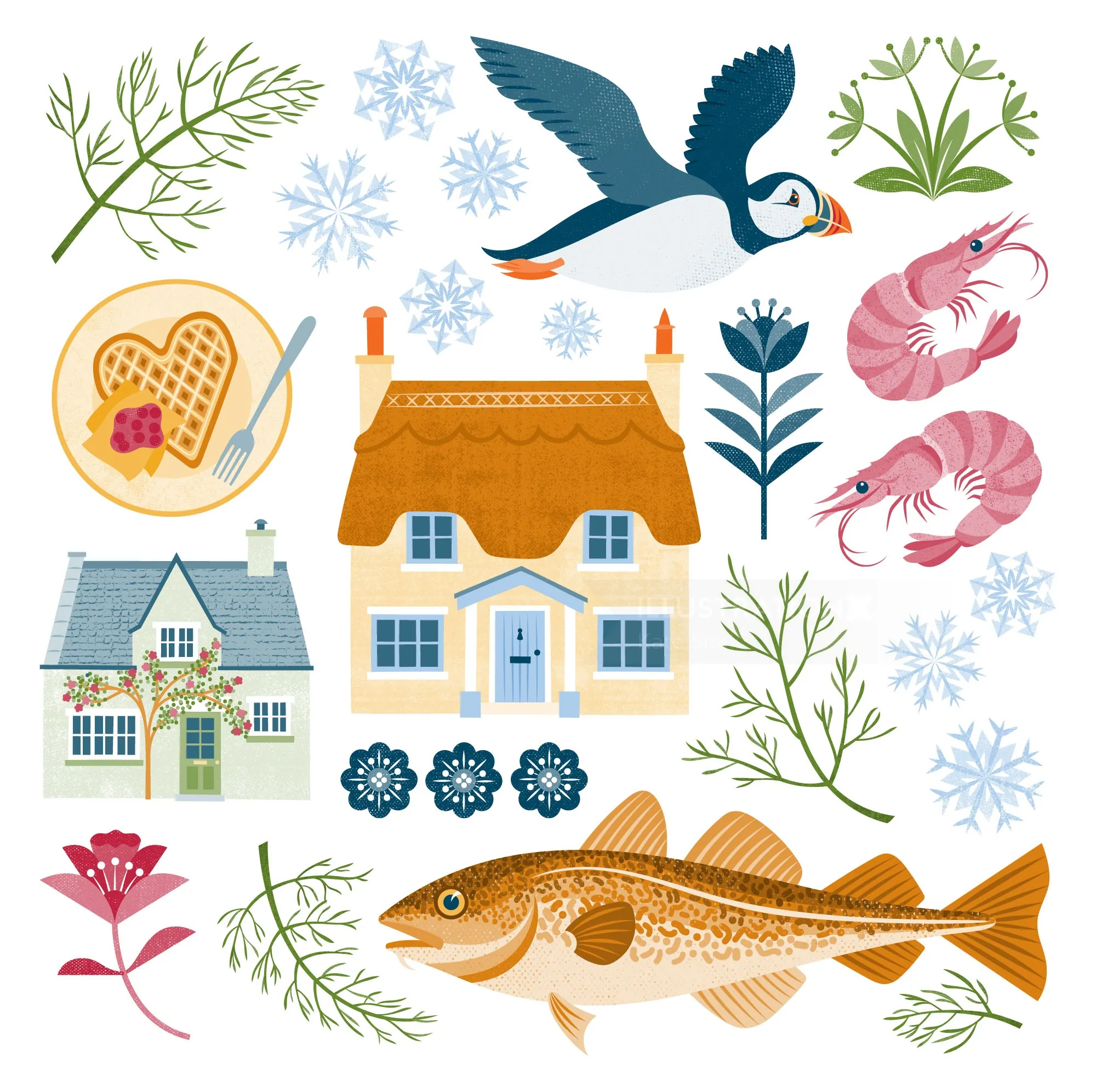 Coastal cottages, puffin, fish, shrimp, flowers, and snowflakes illustration by Kate Snell