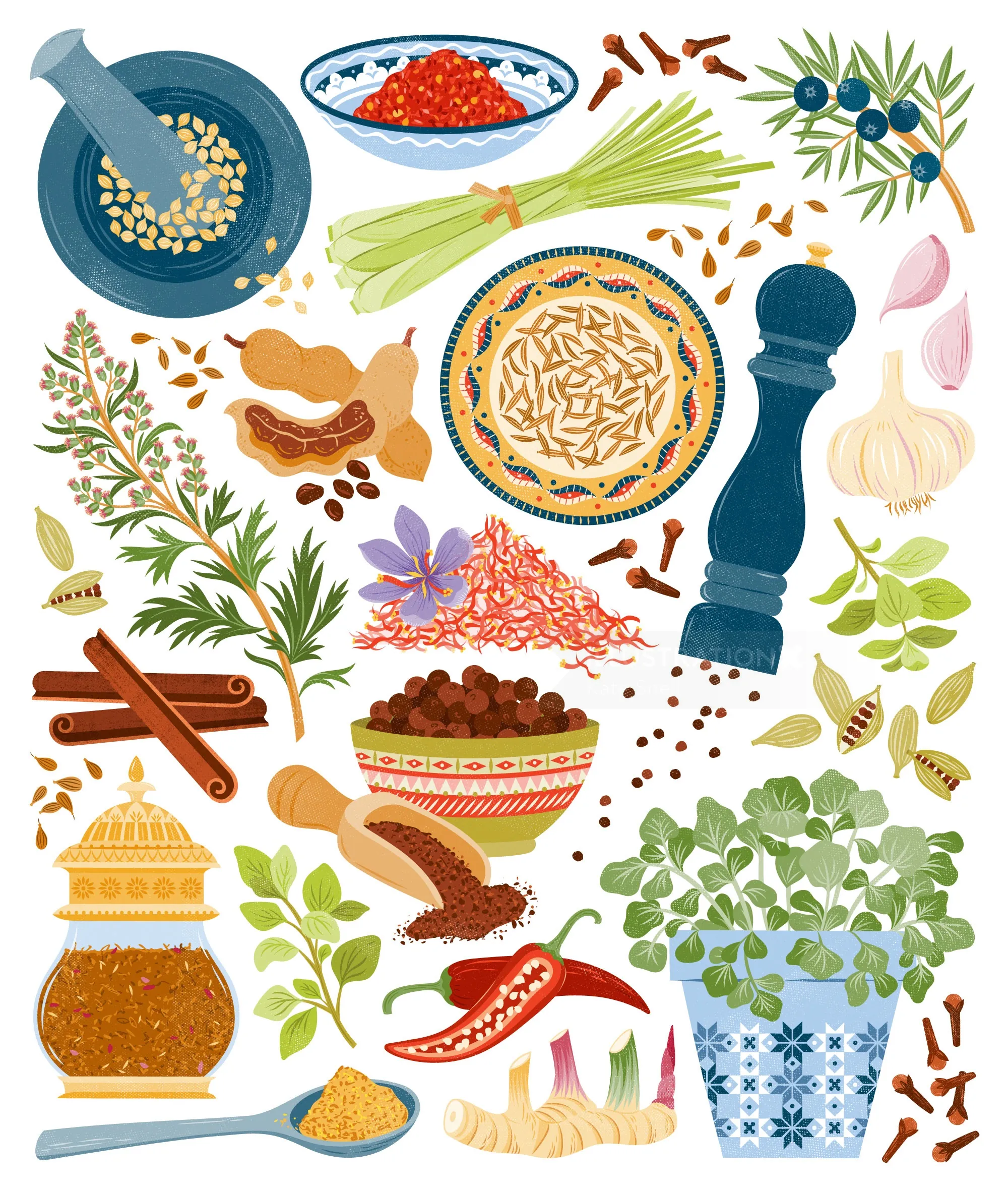 Illustration of various culinary herbs and spices including garlic and cinnamon by Kate Snell