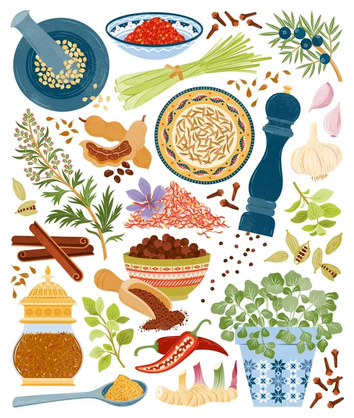 Illustration of various culinary herbs and spices including garlic and cinnamon by Kate Snell