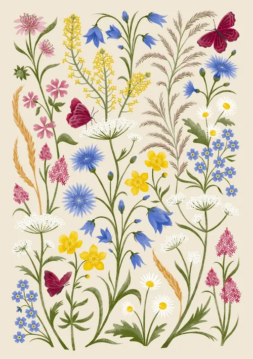 Botanical illustration of wildflowers and red butterflies by Kate Snell
