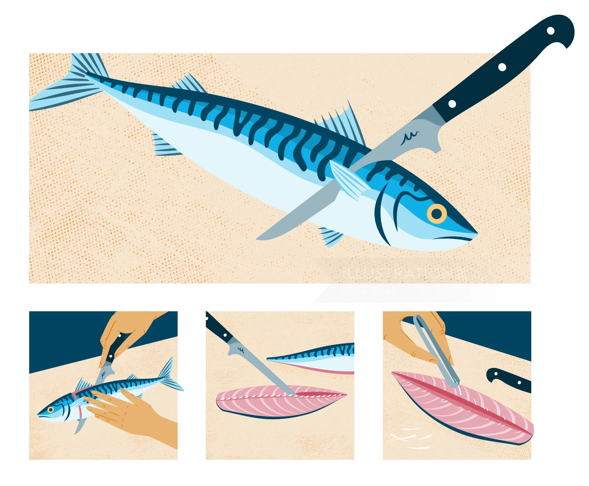 Step-by-step fish filleting process by Kate Snell