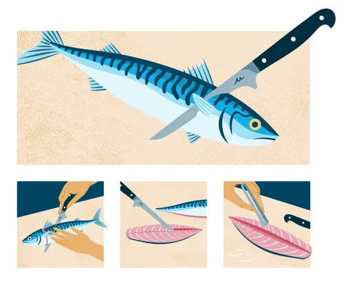 Step-by-step fish filleting process by Kate Snell