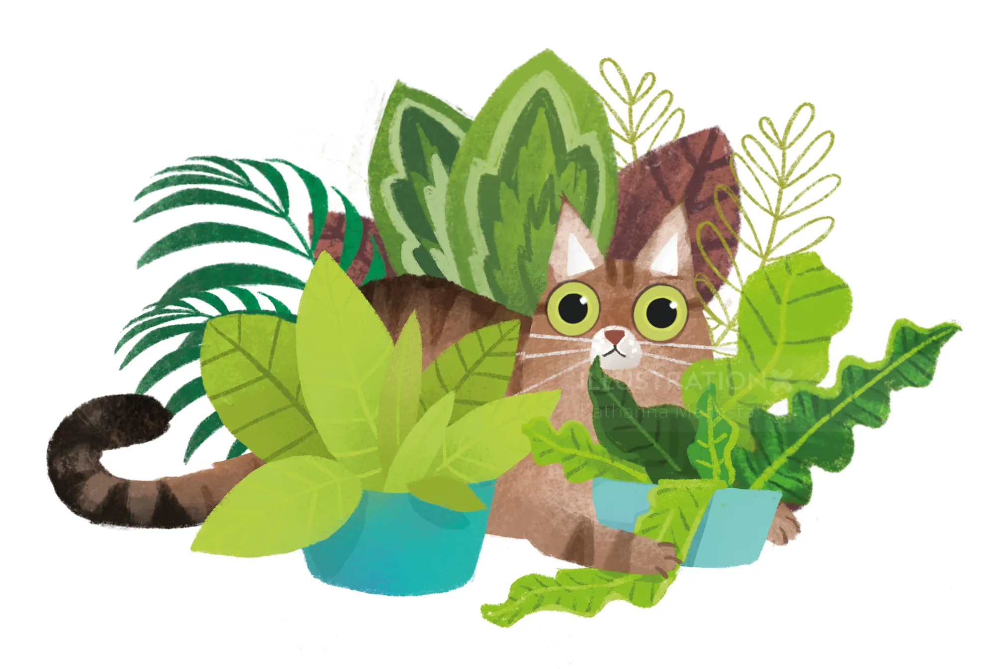 Illustration of a cat hiding behind green houseplants by Katharina Madesta