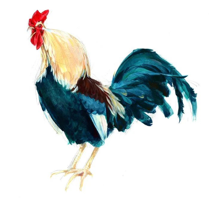 Colorful rooster with detailed feathers and red comb by Katharina Madesta