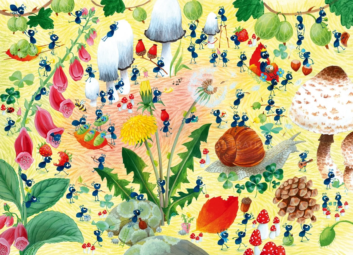 Illustration of ants, mushrooms, and snails on forest floor by Katharina Madesta