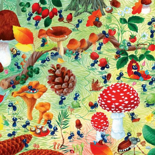 Colorful mushrooms, berries, pinecones, and leaves illustration by Katharina Madesta