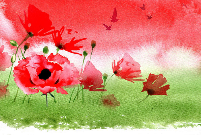 Floral watercolor illustration