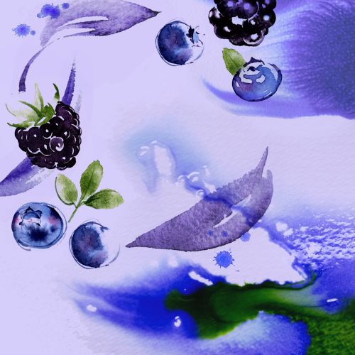 Blackberries & Blueberries Watercolour Painting