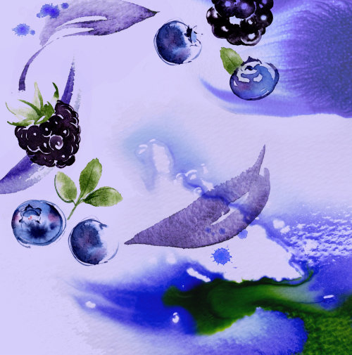 Blackberries & Blueberries Watercolour Painting