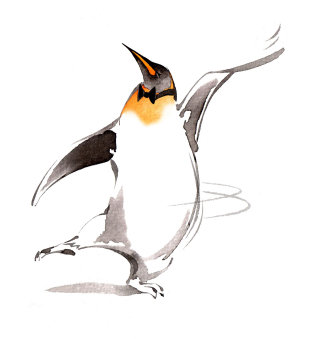 Diseño de personajes de pingüino bailando